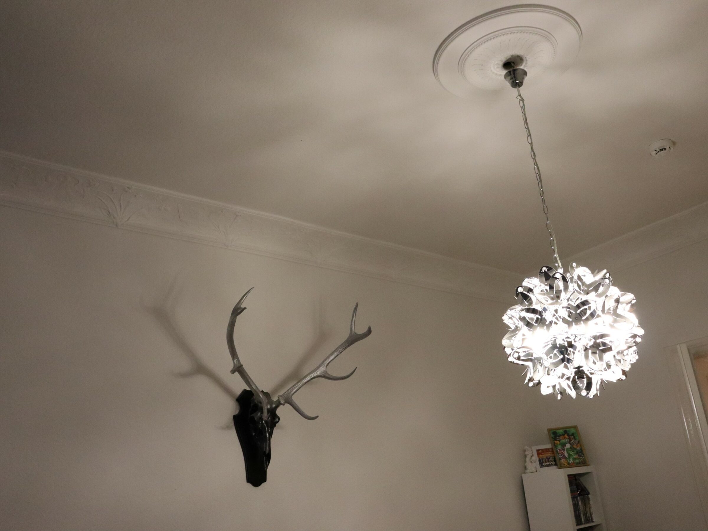 Vertäfelung Wohnung Passau